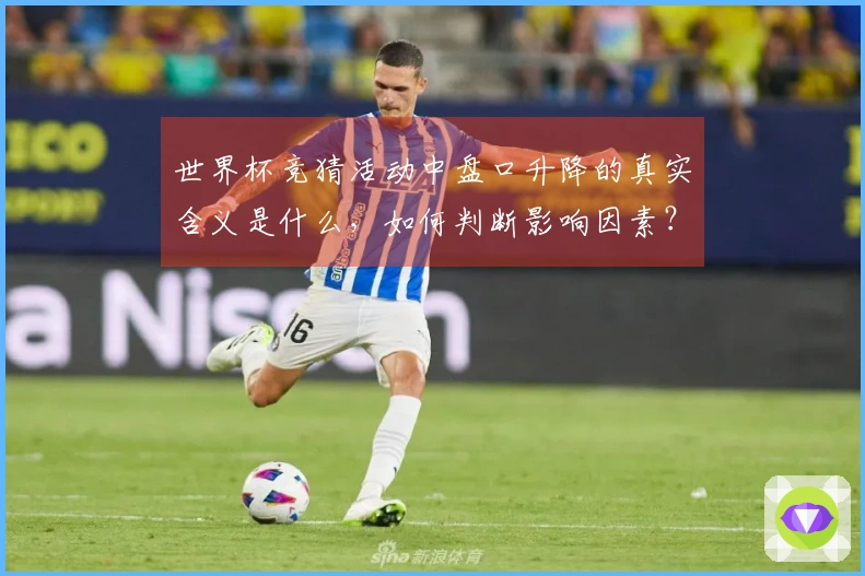 世界杯竞猜活动中盘口升降的真实含义是什么，如何判断影响因素？