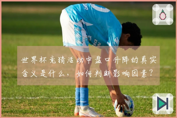 世界杯竞猜活动中盘口升降的真实含义是什么，如何判断影响因素？