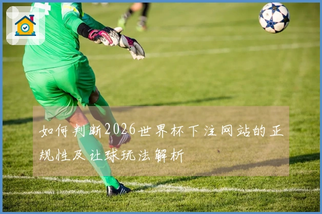 如何判断2026世界杯下注网站的正规性及让球玩法解析