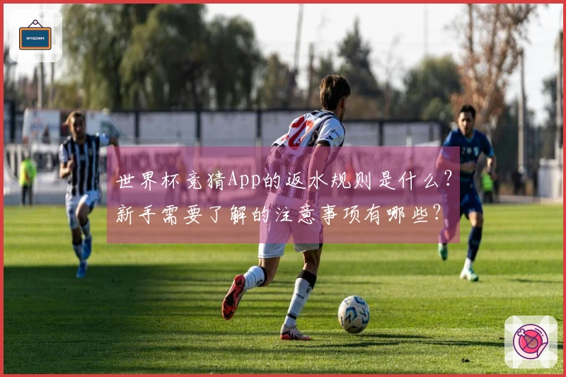 世界杯竞猜App的返水规则是什么？新手需要了解的注意事项有哪些？