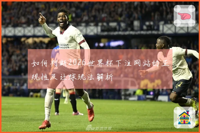 如何判断2026世界杯下注网站的正规性及让球玩法解析