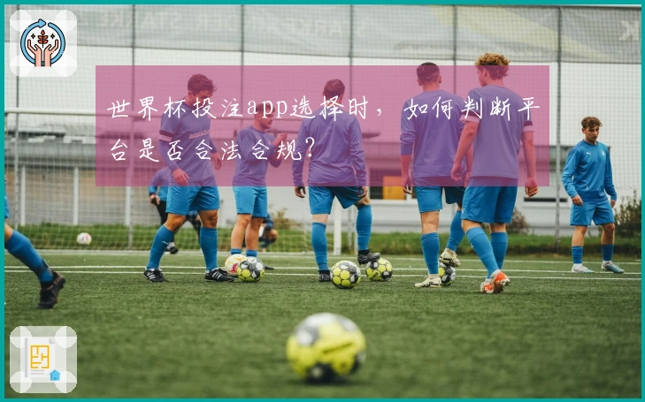 世界杯投注app选择时，如何判断平台是否合法合规？